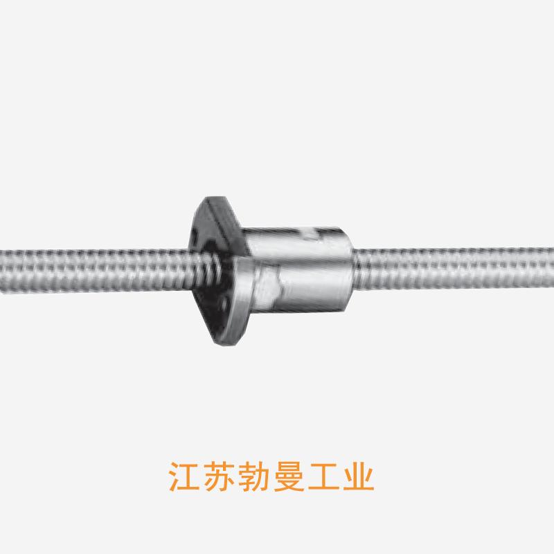 RMA1002C7S-250-RMS滚珠丝杠