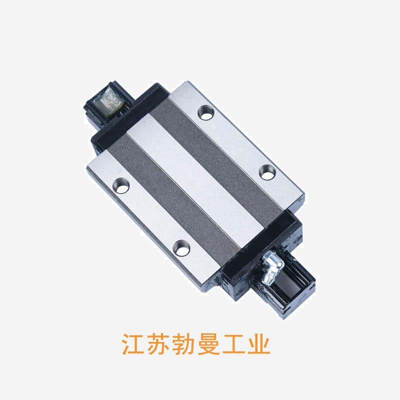 NSK LH55GL